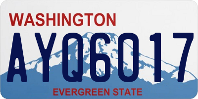 WA license plate AYQ6017