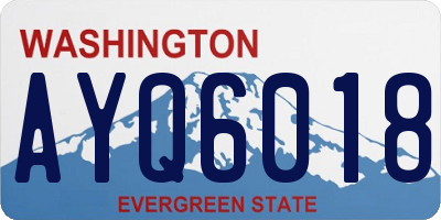 WA license plate AYQ6018