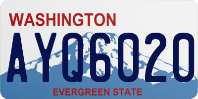 WA license plate AYQ6020