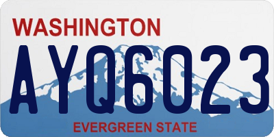 WA license plate AYQ6023
