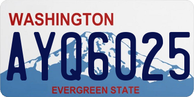 WA license plate AYQ6025