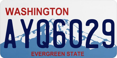 WA license plate AYQ6029