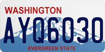 WA license plate AYQ6030