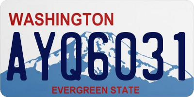 WA license plate AYQ6031