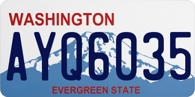 WA license plate AYQ6035