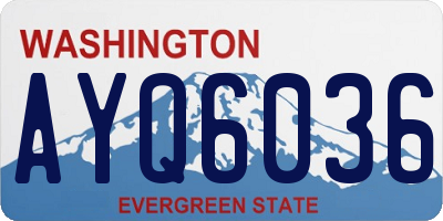 WA license plate AYQ6036