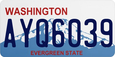 WA license plate AYQ6039