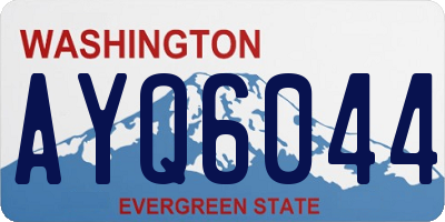 WA license plate AYQ6044
