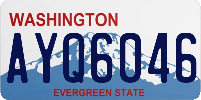 WA license plate AYQ6046