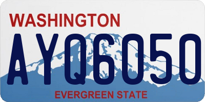WA license plate AYQ6050
