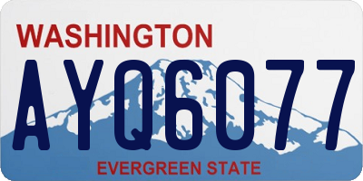 WA license plate AYQ6077