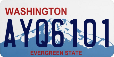 WA license plate AYQ6101