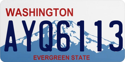 WA license plate AYQ6113