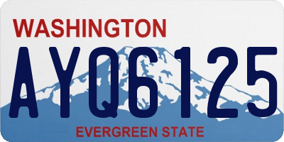 WA license plate AYQ6125