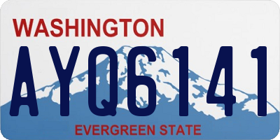 WA license plate AYQ6141