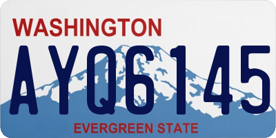 WA license plate AYQ6145