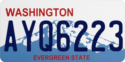 WA license plate AYQ6223