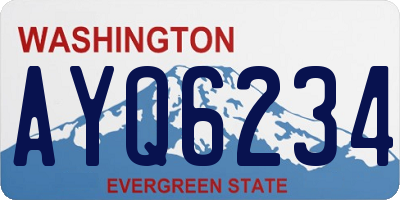 WA license plate AYQ6234