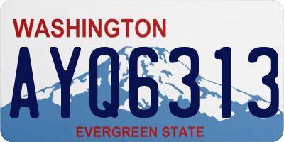 WA license plate AYQ6313