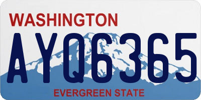 WA license plate AYQ6365