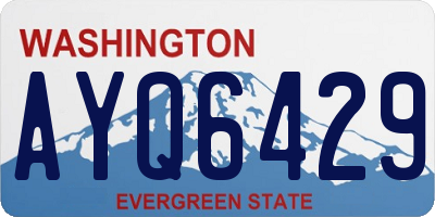 WA license plate AYQ6429