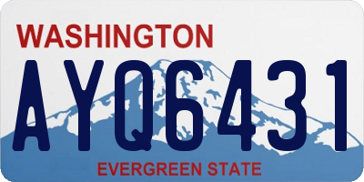 WA license plate AYQ6431
