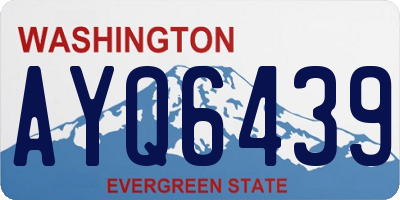 WA license plate AYQ6439