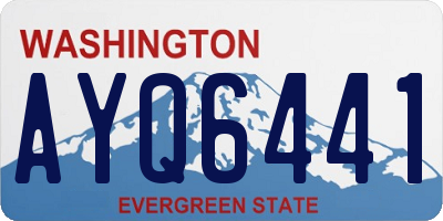 WA license plate AYQ6441