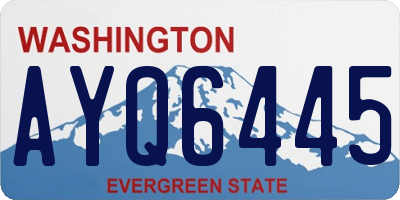WA license plate AYQ6445