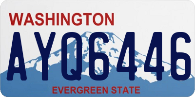 WA license plate AYQ6446