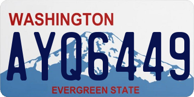 WA license plate AYQ6449