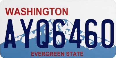 WA license plate AYQ6460