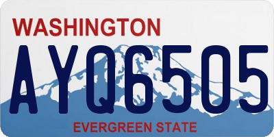 WA license plate AYQ6505