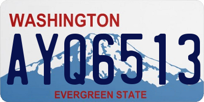 WA license plate AYQ6513