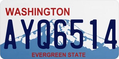 WA license plate AYQ6514