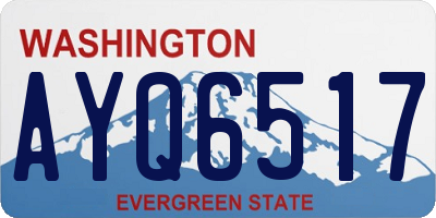 WA license plate AYQ6517