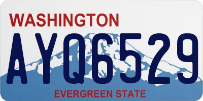 WA license plate AYQ6529