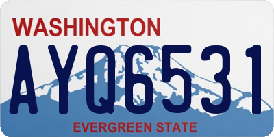 WA license plate AYQ6531