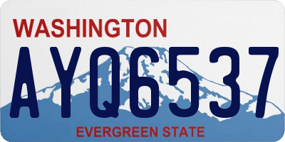 WA license plate AYQ6537