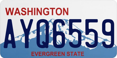 WA license plate AYQ6559