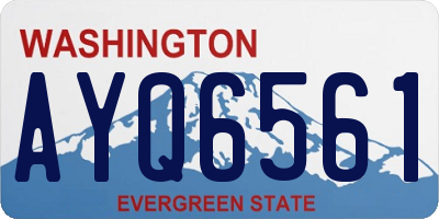 WA license plate AYQ6561