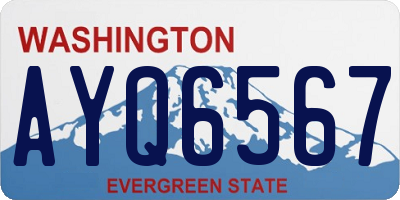WA license plate AYQ6567