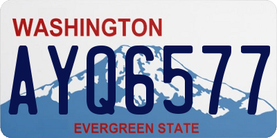 WA license plate AYQ6577