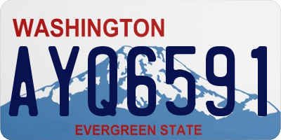 WA license plate AYQ6591