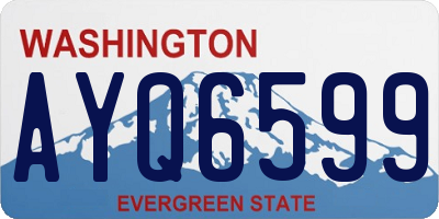 WA license plate AYQ6599