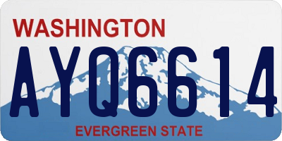 WA license plate AYQ6614