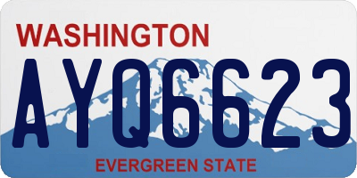 WA license plate AYQ6623