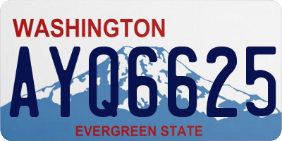 WA license plate AYQ6625