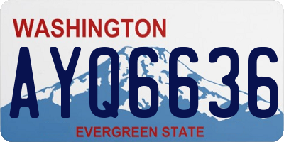 WA license plate AYQ6636