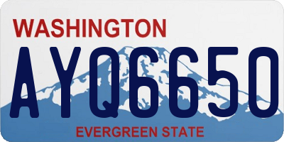 WA license plate AYQ6650